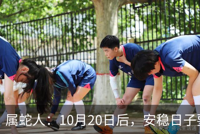 属蛇人：10月20日后，安稳日子要暂时中断